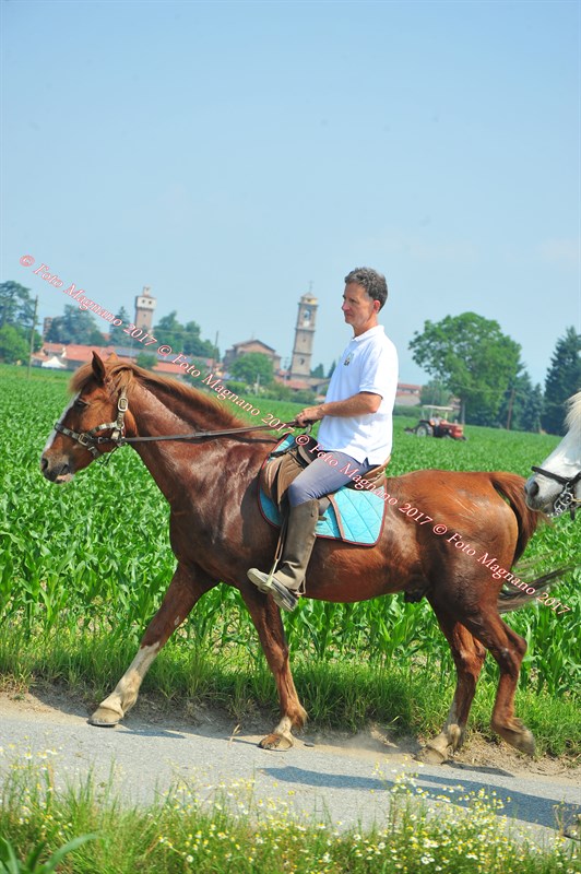 DSC_0863.JPG